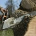 Professional Tree Service Macomb County MI You Can Trust