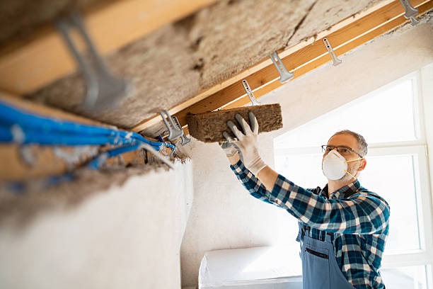Attic Insulation Services That Improve Energy Efficiency