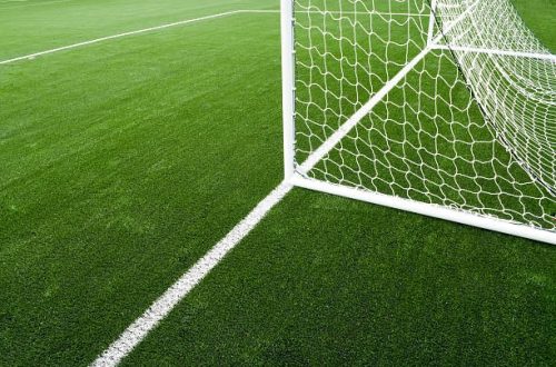 Find the Best Artificial Grass Installation Near Me with Apex Turf
