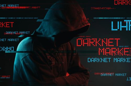 Dark Net Army and the Dynamics of Cyber Communities