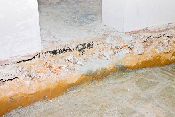 Affordable Crawlspace Waterproofing in Wilmington Get a Free Quote