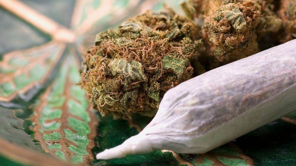Explore Valuable Cannabis Insights on Wiet Forum From Experienced Members