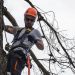 Dependable Tree Service in Auburn for Every Season