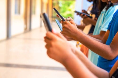 Understanding SMM World pricing Plans, Costs and Services