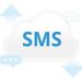 Managing Mobile Data Abroad With a Travel eSIM